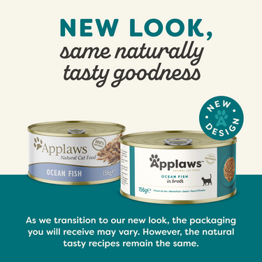 Applaws Ocean Fish Adult Wet Cat Food Tin - 70g